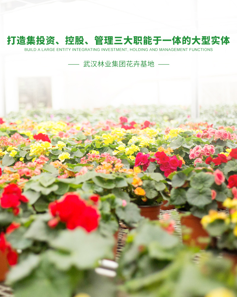 壹号平台注册链接_壹号平台下载安装